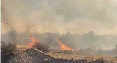 Elazığ'da örtü yangını söndürüldü