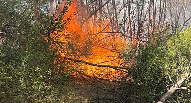 Elazığ'da otluk alanda yangın