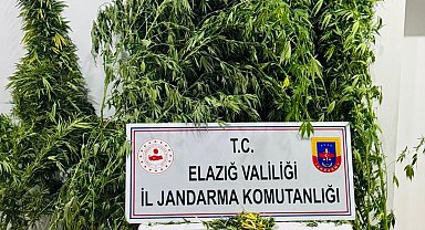 Elazığ'da uyuşturucuyla mücadele
