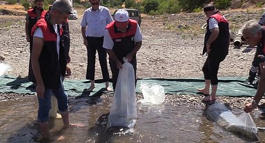 Elazığ'daki su kaynaklarına 5 milyon 786 bin yavru sazan bırakılacak