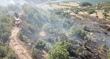 Ormanlık alanda çıkan yangın büyümeden söndürüldü