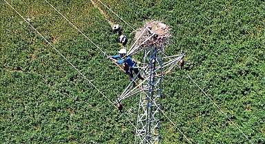 Doğu Anadolu'da hem leylekler hem de enerji güvende