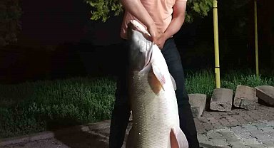 Elazığ'da baba-oğul 75 kiloluk dev turna balığı yakaladı