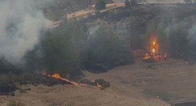 Elazığ'da kırsal alan yangını