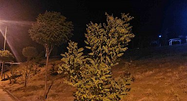 Elazığ'da kuvvetli rüzgar etkisini sürdürüyor