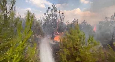 Elazığ'da ormanlık alanda yangın