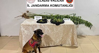 Elazığ'da uyuşturucuyla mücadele