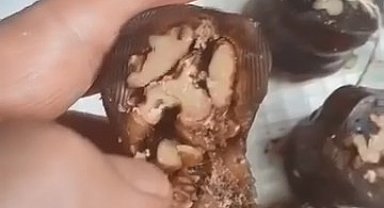 Elazığ'da vatandaşın aldığı orcikten böcek çıktı