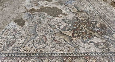 Hayvan figürleriyle dolu bin 700 yıllık Roma mozaiği, burjuva yaşamının izlerini taşıyor