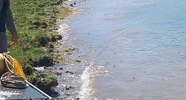 Karakoçan'da göletlere yavru balıklar bırakıldı