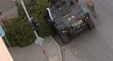 Kovancılarda ağaç dalları kırıldı