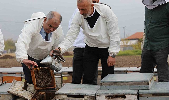 Elazığ arı kovanları incelendi