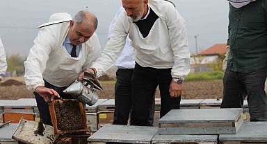 Elazığ arı kovanları incelendi