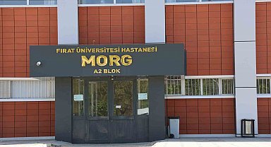 Elazığ'a üzüm almaya geldi, hayatını kaybetti