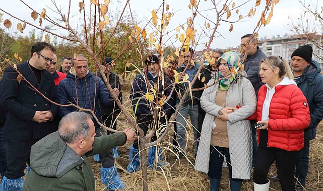 Elazığ'da ağaç budama ve aşılama eğitimi