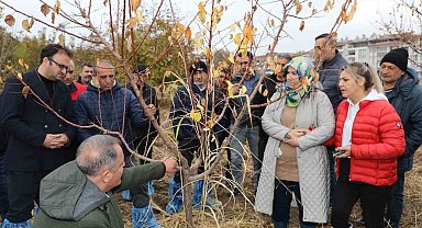 Elazığ'da ağaç budama ve aşılama eğitimi