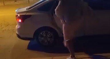 Elazığ'da bir kadın, tartıştığı şahsın arabasına saldırdı