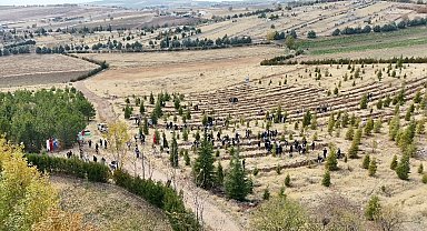 Elazığ'da Doğu Türkistan ve Filistin için fidan diktiler