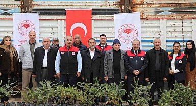 Elazığ'da sumak üretimi artıyor