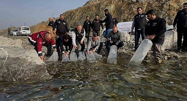 Karakaya Baraj Gölü'ne 420 bin yavru balık bırakıldı