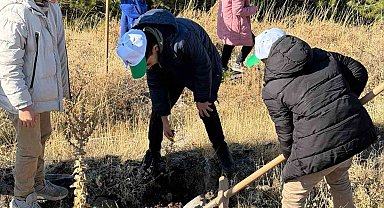 Sivrice'de fidan dikme etkinliği düzenlendi