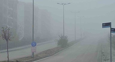 Elazığ'da yoğun sis, bir mahalle adeta kayboldu