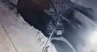 Buzda kayan araç park halindeki otomobile çarptı