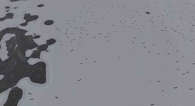 Cip Baraj Gölü buz tuttu