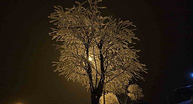 Elazığ'da ağaçlar kırağı tuttu