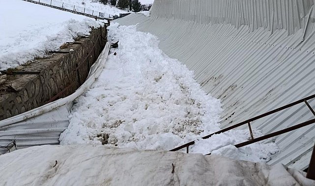 Elazığ'da ahırın tavanı çöktü