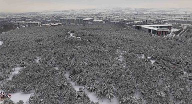 Elazığ'da beton yığınlarının arasındaki beyaz vaha mest etti