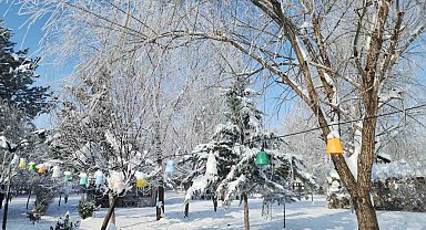 Elazığ'da dondurucu soğuklar: Karakoçan'da termometreler -22'yi gösterdi