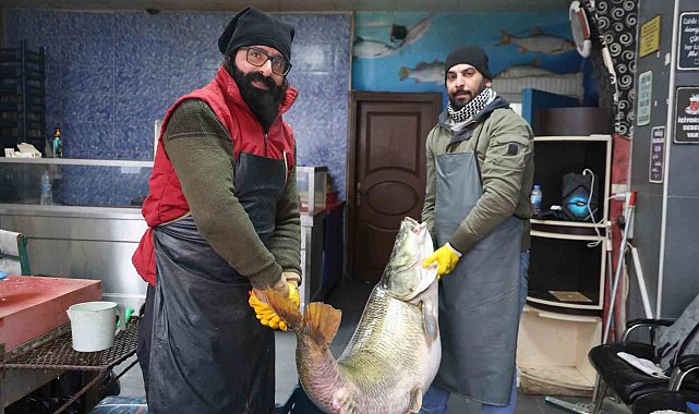 Elazığ'da yakalanan 78 kilogram ağırlığındaki turna balığını iki kişi zor taşıdı