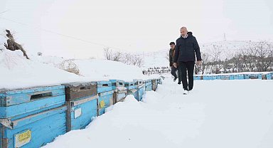 Kar yağışı, koloni kayıplarını ve hastalıkları minimuma indirdi: Arıcılar sezonundan ümitli