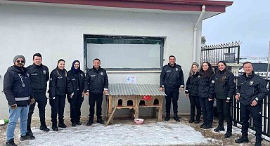Sivrice polisinden üşüyen minik dostlarına kedi evi