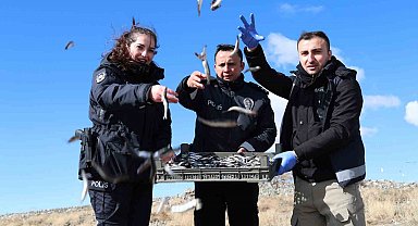 Doğu'nun gizli denizinde şefkat eli: Polis ekipleri martı ve tavşanları unutmadı