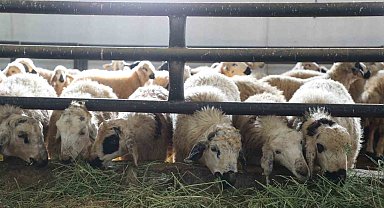 Elazığ'da 6 köy karantinaya alındı