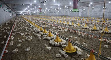 Devletten aldığı destekle ikinci çiftliğini açtı