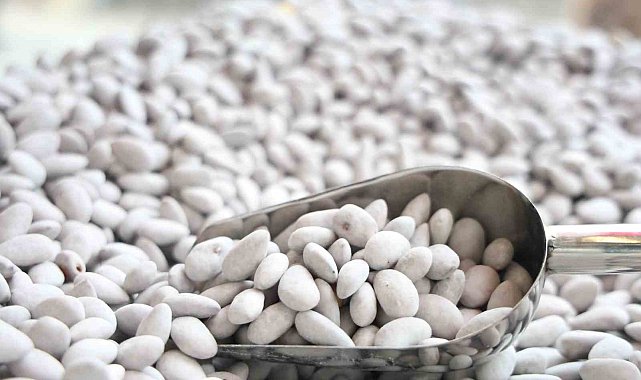 Elazığ'ın 'Beyaz altını' badem şekeri