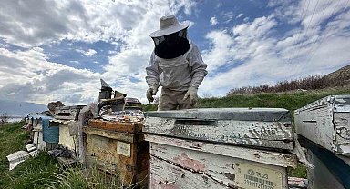 Arıcılar yavru ve besleme dönemine girdi