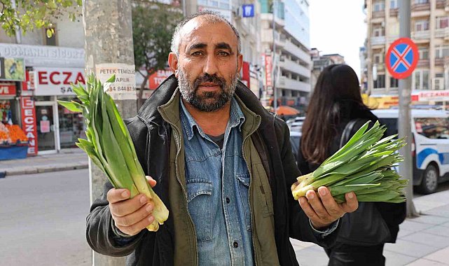 Dağlardan toplanan doğal antibiyotik, tezgahlarda yerini aldı