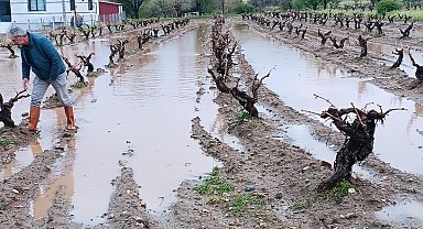 Elazığ'da dolu yağışı sonrası hasar tespit çalışması