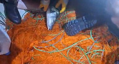 Elazığ'da kaçak avcılara ait 300 metrelik ağ ele geçirildi