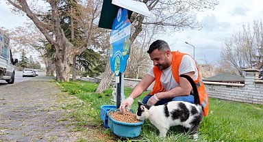 Elazığ'da sokak hayvanlarına mama desteği sürüyor