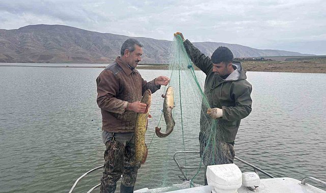 Elazığ'da su ürünleri araştırma çalışmaları sürüyor