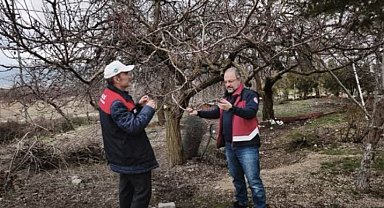 Elazığ'da zirai don mesaisi