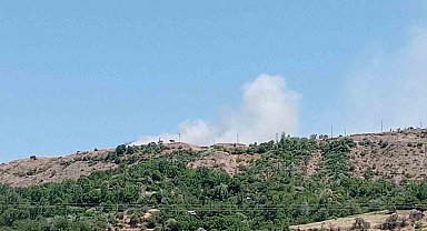 Elazığ'da arazi yangını