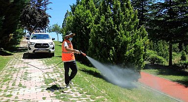 Elazığ'da ilaçlama çalışmaları aralıksız sürüyor