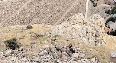 Keban'da dağ keçileri sürü halinde görüldü