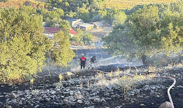Elazığ'da arazi yangını